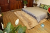 All included studio apartment for rent near West lake, Tay Ho